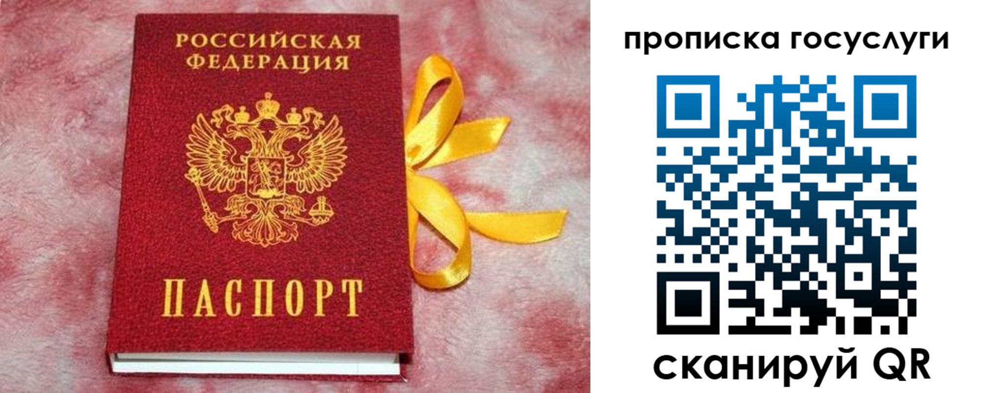 прописка законно в Тихорецке